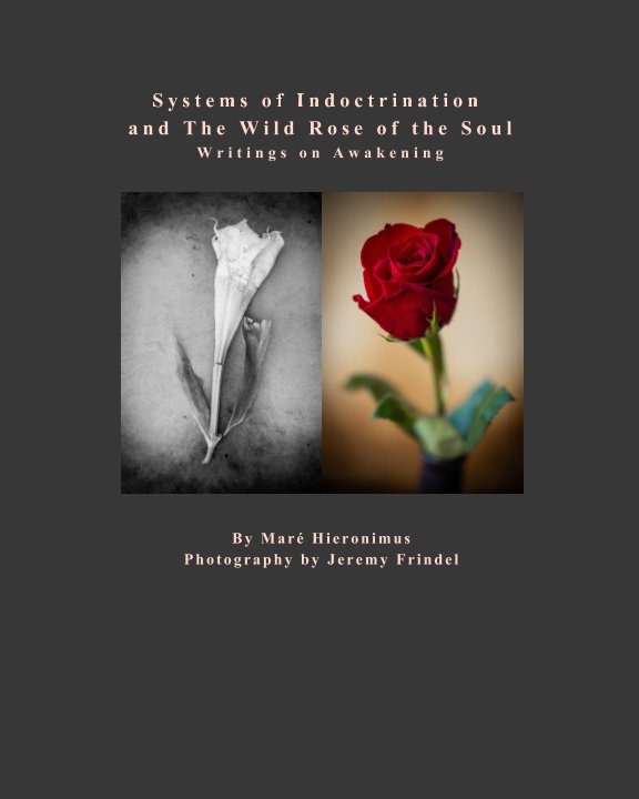 Visualizza Systems of Indoctrination and The Wild Rose of the Soul di Mare Hieronimus