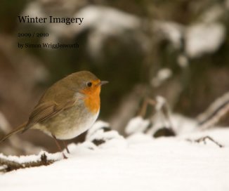 Winter Imagery book cover