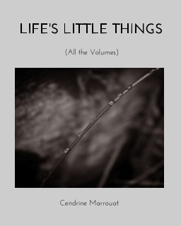 Life's Little Things book cover