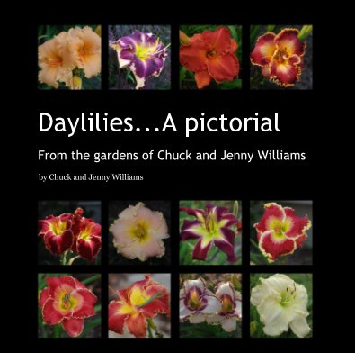 Daylilies...A pictorial book cover