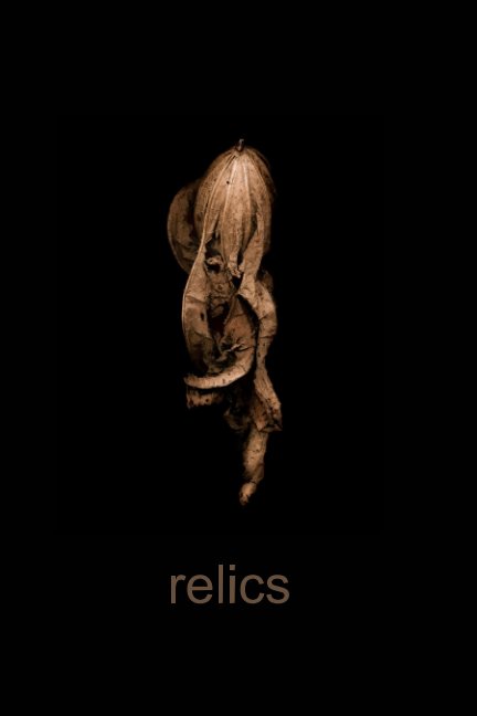 View relics by Brian David Becker