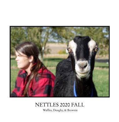 NETTLES 2020 Fall book cover