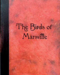 The Birds of Marsville book cover
