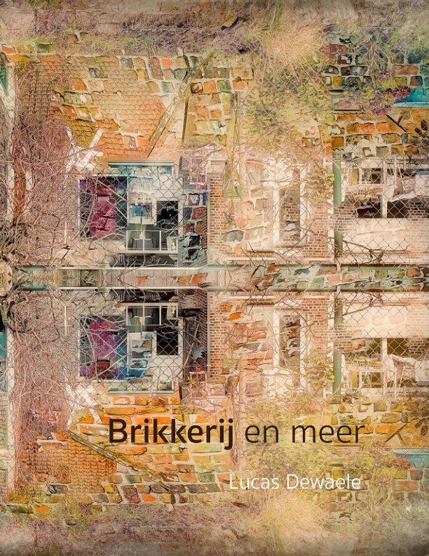 Visualizza Brikkerij, de werf in beelden di Lucas Dewaele