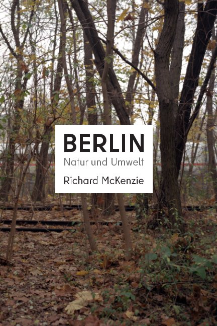View Berlin by Richard McKenzie