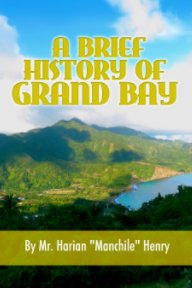 A Brief History of GrandBay book cover