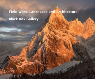 Field Work: Landscape and Architecture book cover