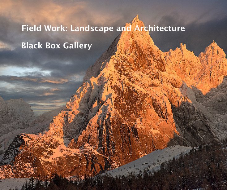 View Field Work: Landscape and Architecture by Black Box Gallery