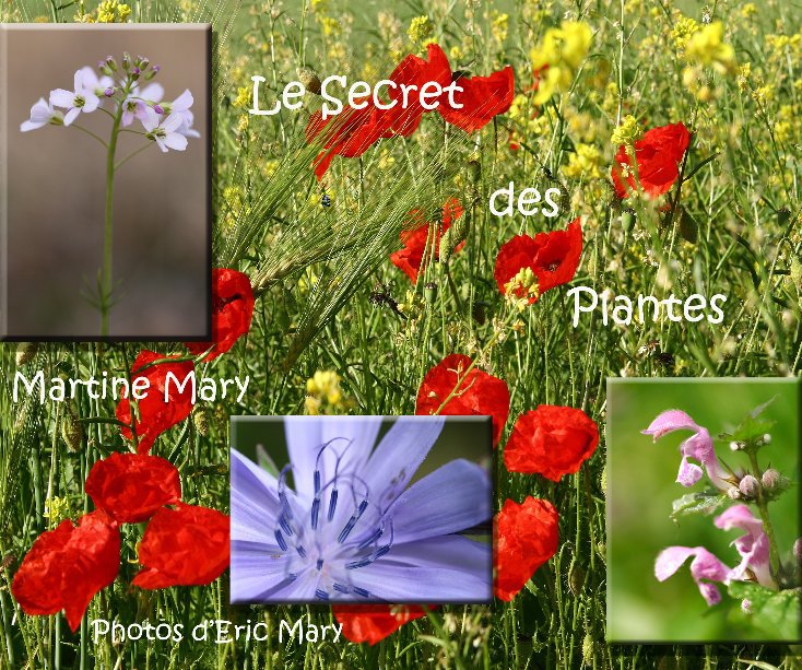 Visualizza Le Secret des Plantes di Martine Mary