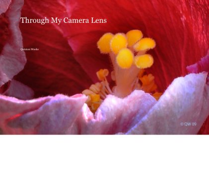 Through My Camera Lens book cover