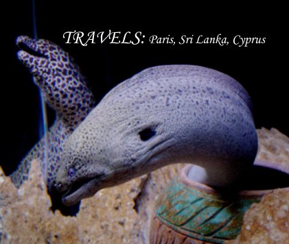 TRAVELS: Paris, Sri Lanka, Cyprus book cover