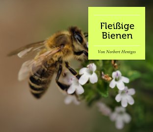 Fleißige Bienen book cover