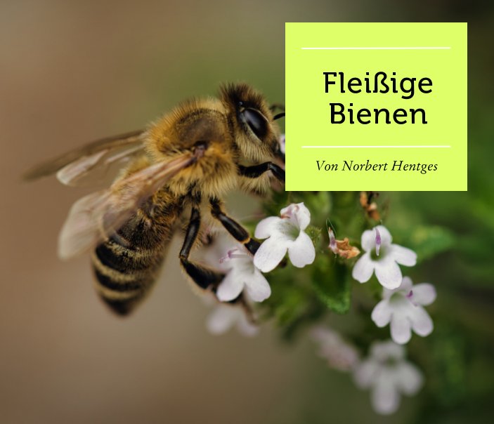 View Fleißige Bienen by Norbert Hentges