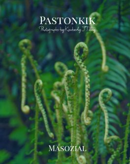 Pastonkik book cover