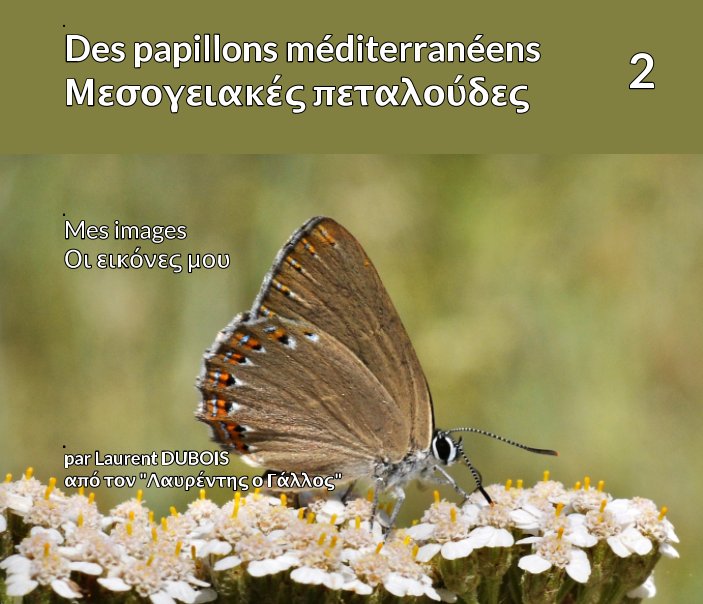 View Πεταλούδες - Des papillons  2 by L DUBOIS, Λευτέρης Κουκιανάκης