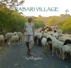 RABARI VILLAGE book cover