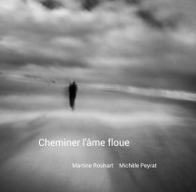 Cheminer l'âme floue book cover