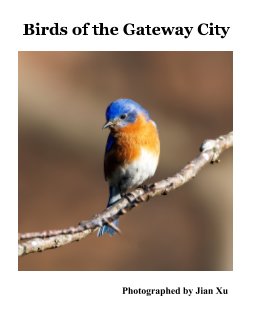 Birds of the Gateway City book cover