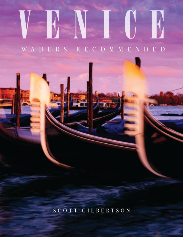 View Venice by Scott Gilbertson