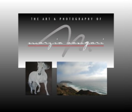 The Art & Photography of Marzia Sangari book cover