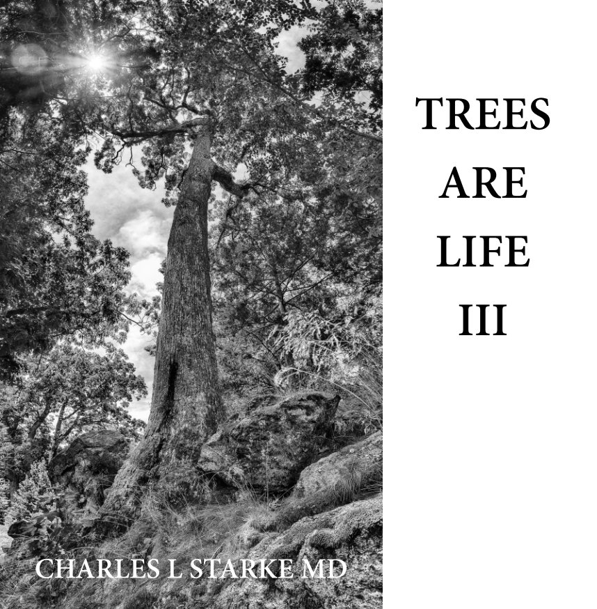 View Trees are Life III by Charles L Starke MD