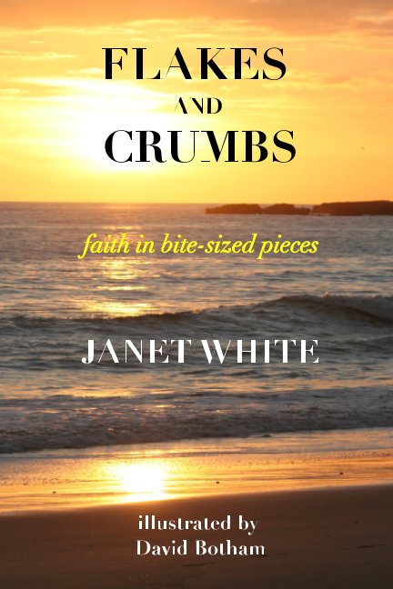 View Flakes and Crumbs by Janet White