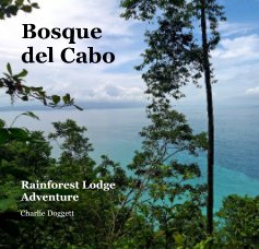 Bosque del Cabo book cover