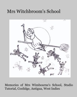 Mrs Witchbroom's School book cover