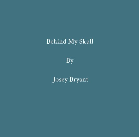 View Behind My Skull by Josey Bryant