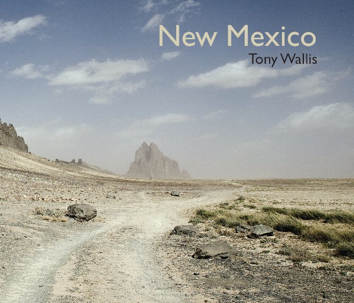 View New Mexico by Tony Wallis