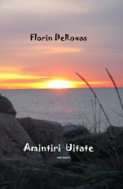 Amintiri Uitate book cover