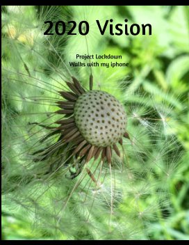 2020 Vision book cover