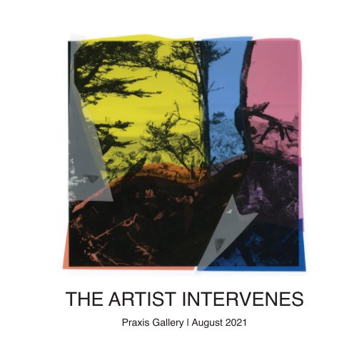 The Artist Intervenes nach Praxis Gallery anzeigen