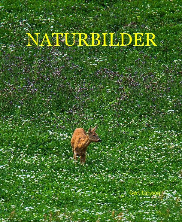 View NATURBILDER by Gert Larsson