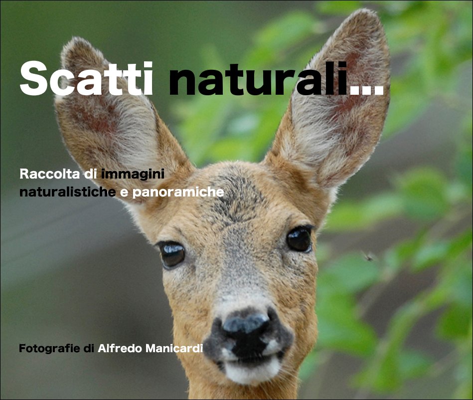 View Scatti naturali... by Fotografie di Alfredo Manicardi