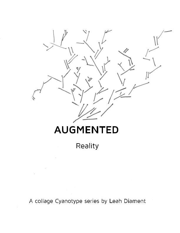 View Augmented Reality by Leah Diament