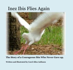 Inez Ibis Flies Again book cover