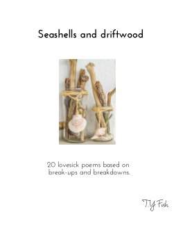 Seashells and driftwood book cover