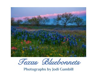 Texas Bluebonnets book cover