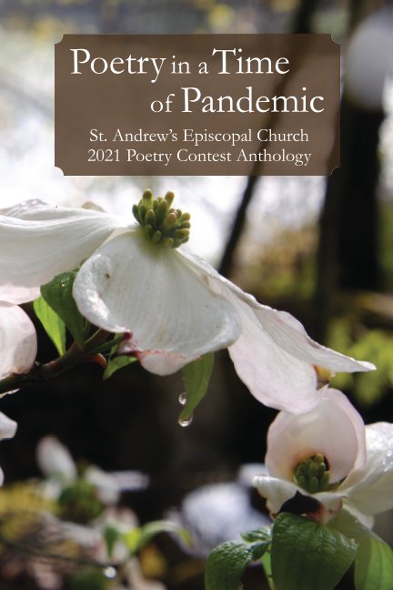 Visualizza Poetry in a Time of Pandemic di St. Andrew's Episcopal Church