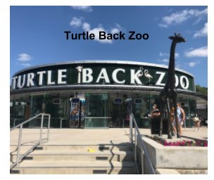 Turtle back zoo book cover