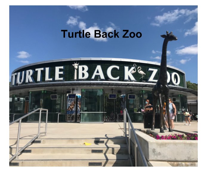 Turtle back zoo by Tyler Bassett Blurb Books