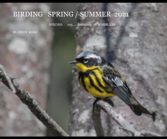 Birding spring / summer 2021 book cover