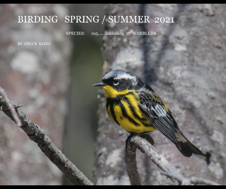 Bekijk Birding spring / summer 2021 op CHUCK KLING