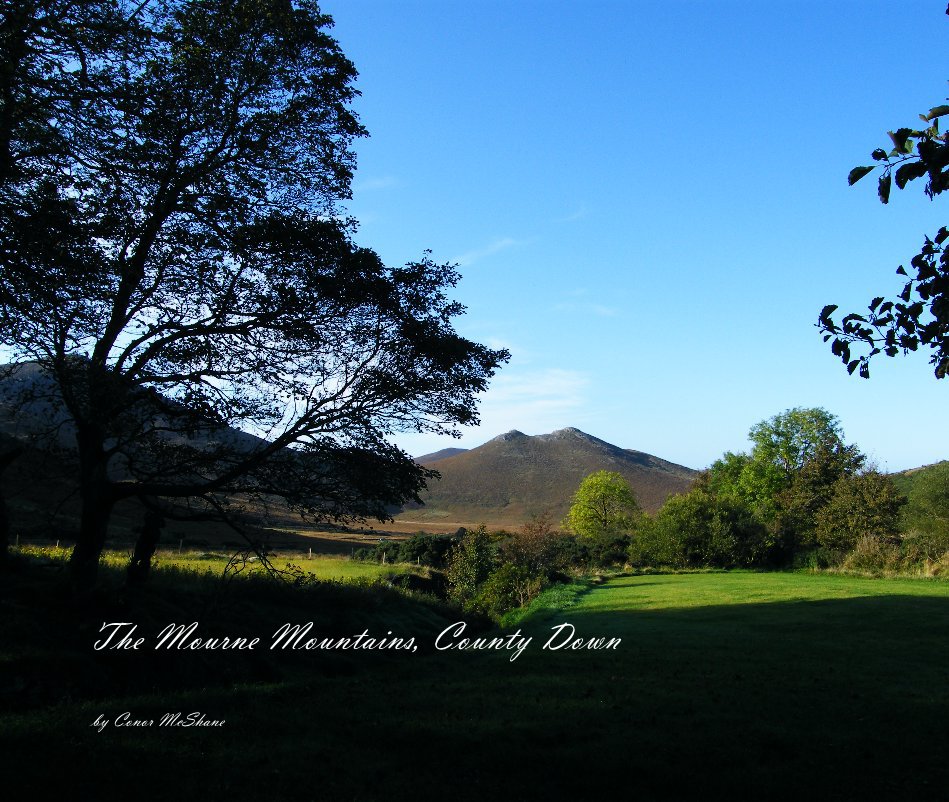 View The Mourne Mountains, County Down by Conor McShane