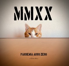 Pandemia Anno zero MMXX book cover