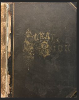 Mary Billings Hinckley 1882 Sketchbook book cover