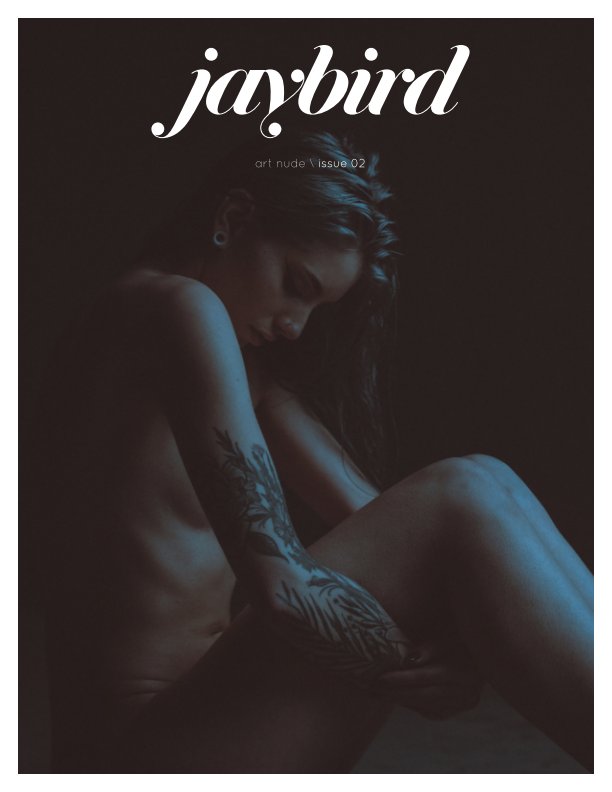 View Jaybird Issue 02 by Sean Forsythe