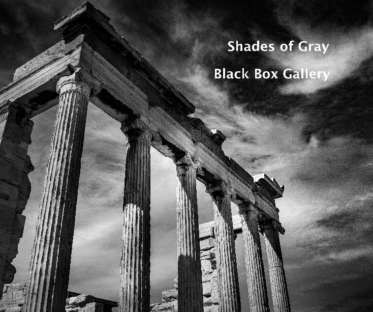 View Shades of Gray by Black Box Gallery