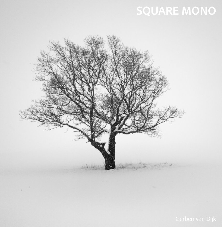 View Square Mono by Gerben van Dijk
